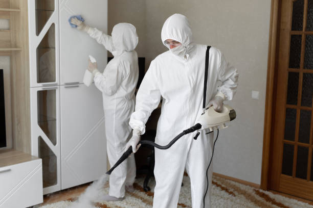 Best Residential Mold Removal  in Olney, MD