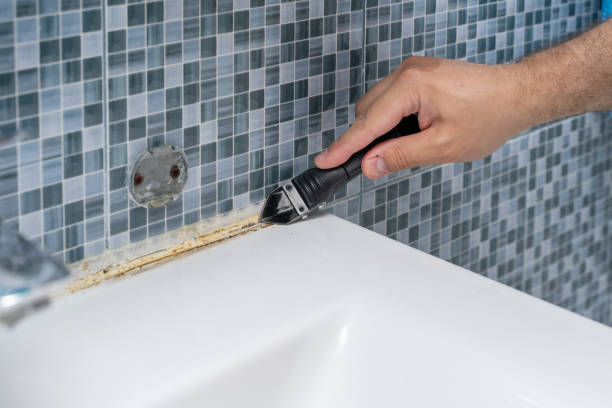 Best Mold Remediation Experts  in Olney, MD